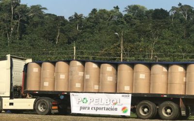 PAPELBOL inicia exportaciones a Perú